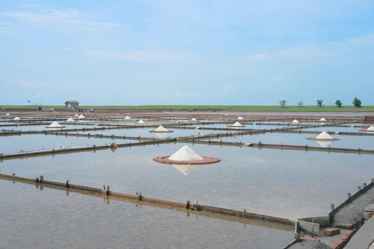 A Simple Guide to Calcium Formate Uses Across Multiple Industries